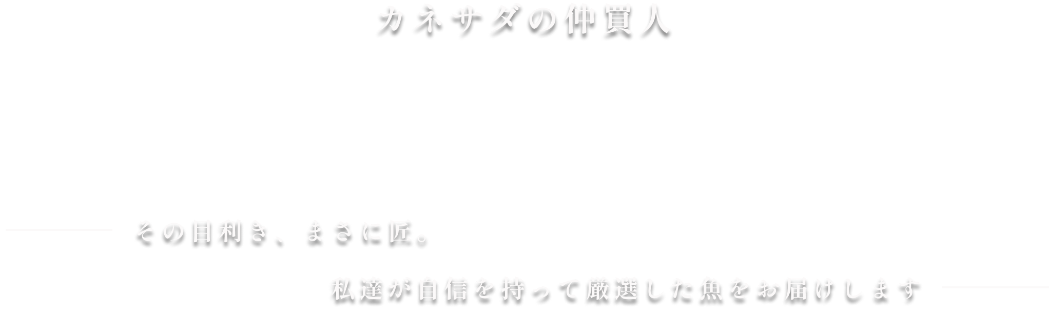その目利き、まさに匠。私達が自信を持って厳選した魚をお届けします
