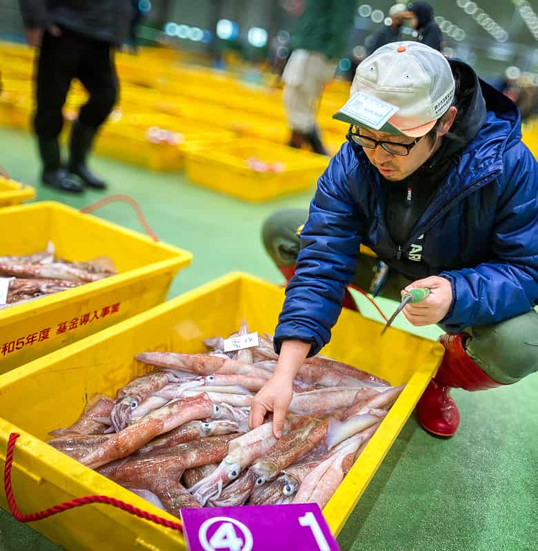 魚を選んでいる画像