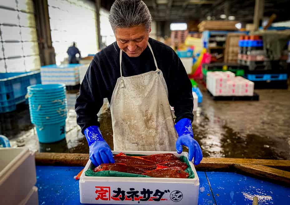魚を箱に詰めている画像